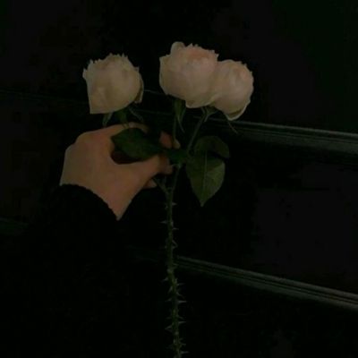 乐鱼官网手机版