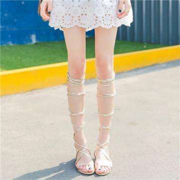 管家婆一码一肖资料大全下载手机版